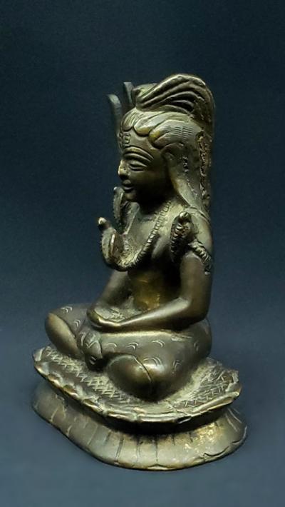 Shiva Yogamudrâ